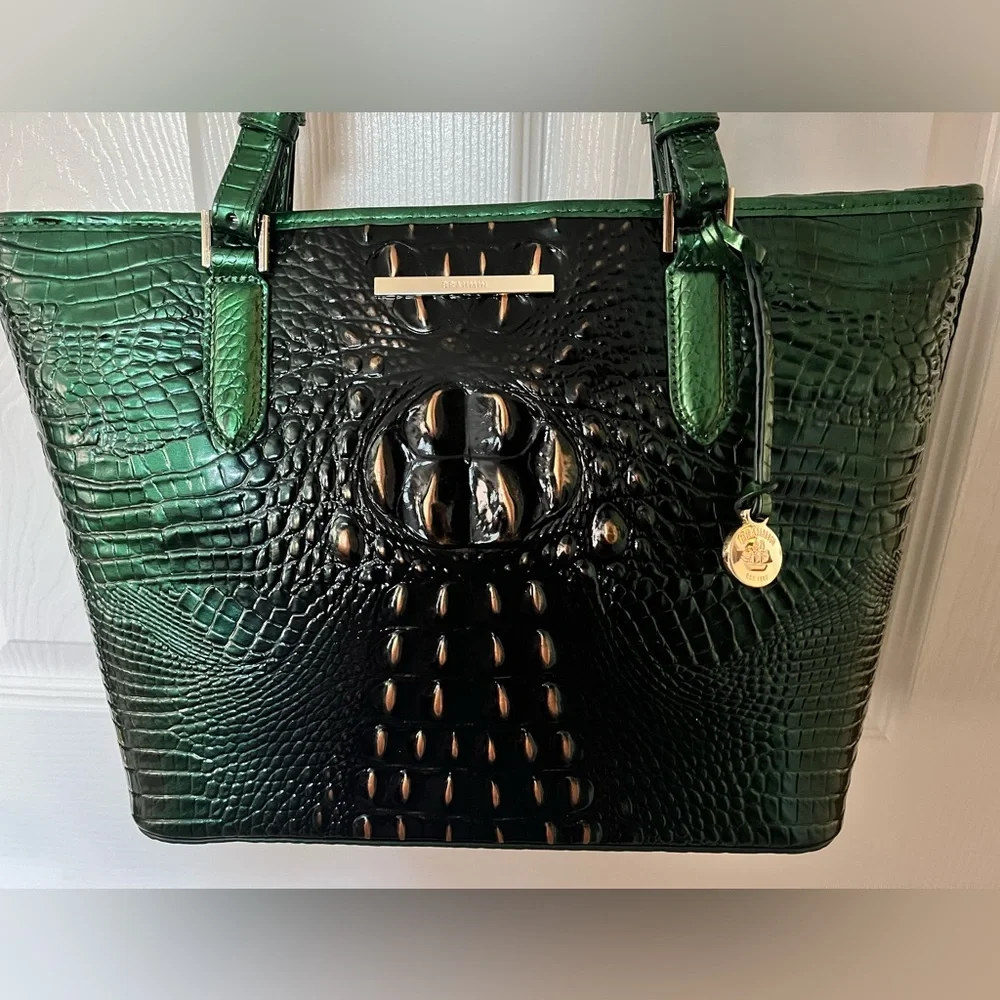 NWT Brahmin EVERGREEN Medium Asher Ombre Melbourne Tote